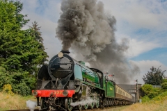 777-Beeches-Aug-18-2016-1-scaled-1